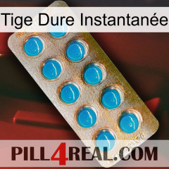 Tige Dure Instantanée new09